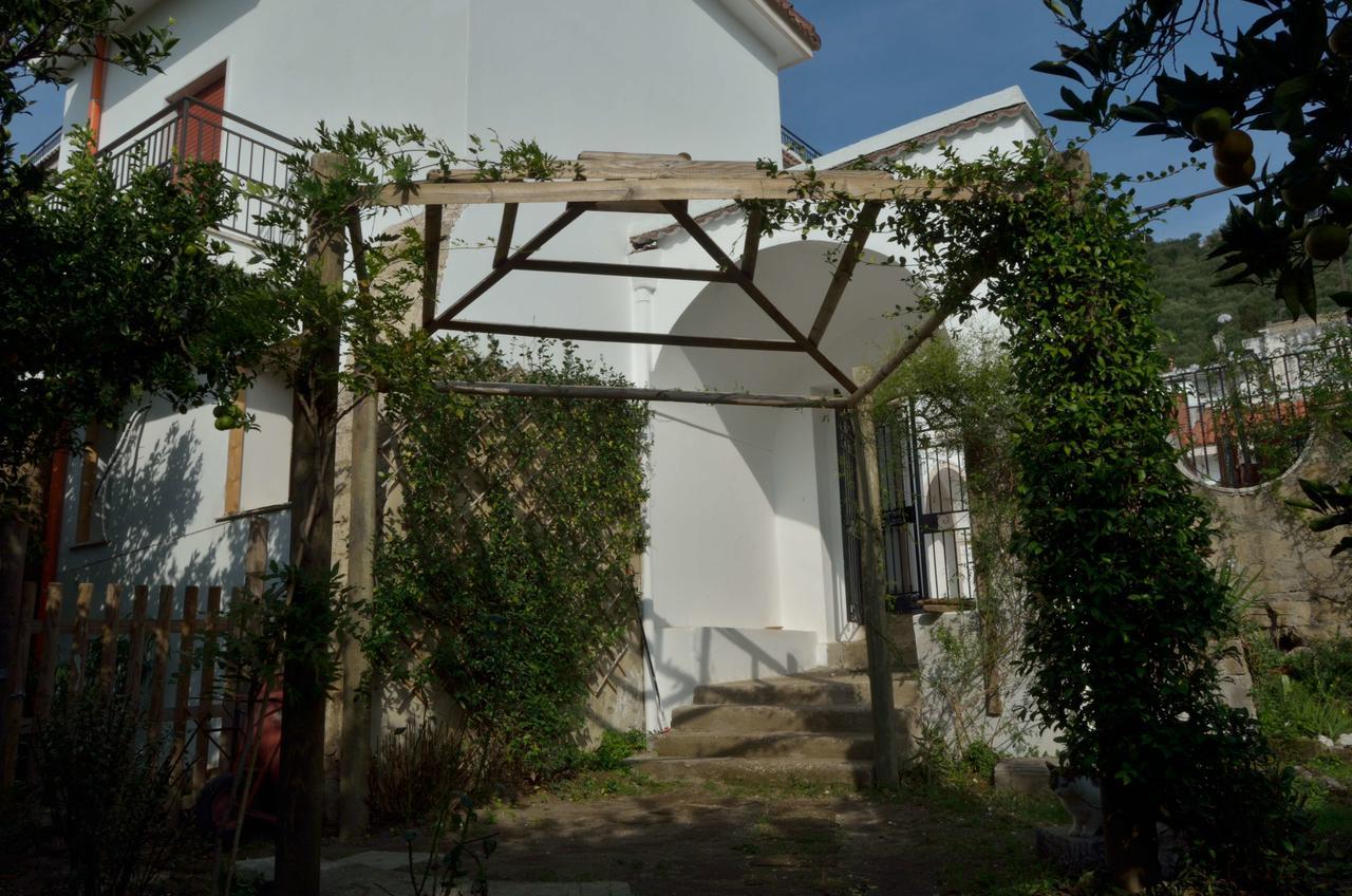 Il Giardino Del Sole Bed & Breakfast Roccarainola ภายนอก รูปภาพ