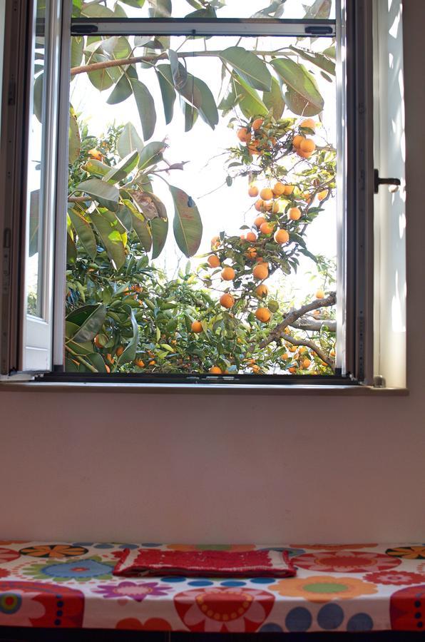 Il Giardino Del Sole Bed & Breakfast Roccarainola ภายนอก รูปภาพ